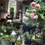L' Ambroisie Bed & Breakfast Bourdeilles